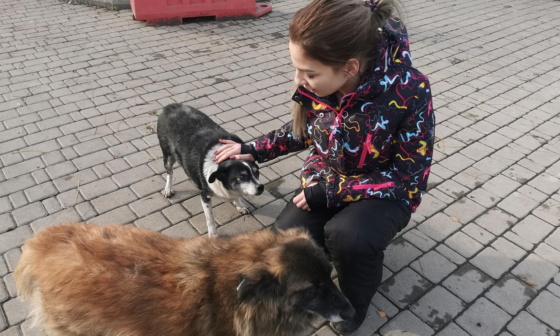 Юлия Неваба, менеджер приюта для бездомных животных «ПИФ»